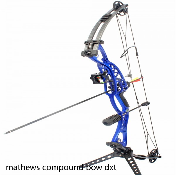 mathews compound bow dxt