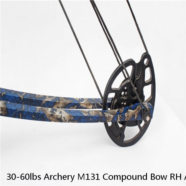 30-60lbs Archery M131 Compound Bow RH Arrow Kit Fishing Hunting Shooting Outdoor