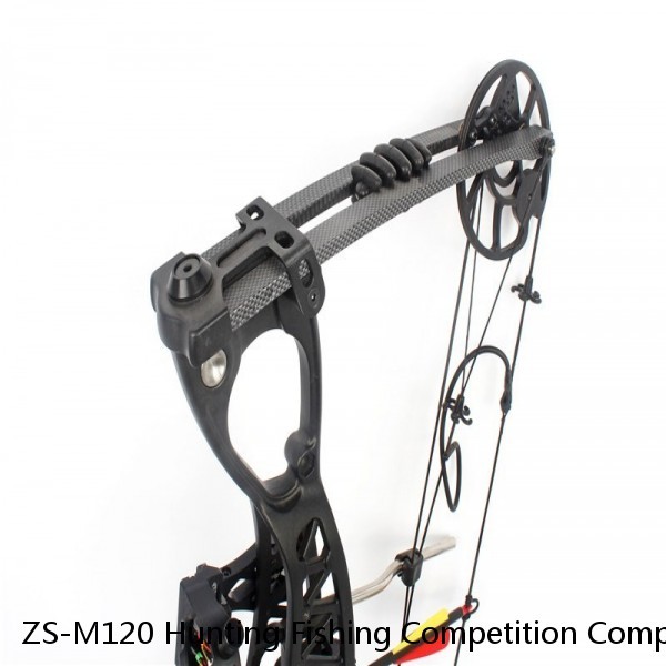 ZS-M120 Hunting Fishing Competition Compound Bow for shooting Archery Arrow 20-70lbs Aluminum Riser Laminated Limbs