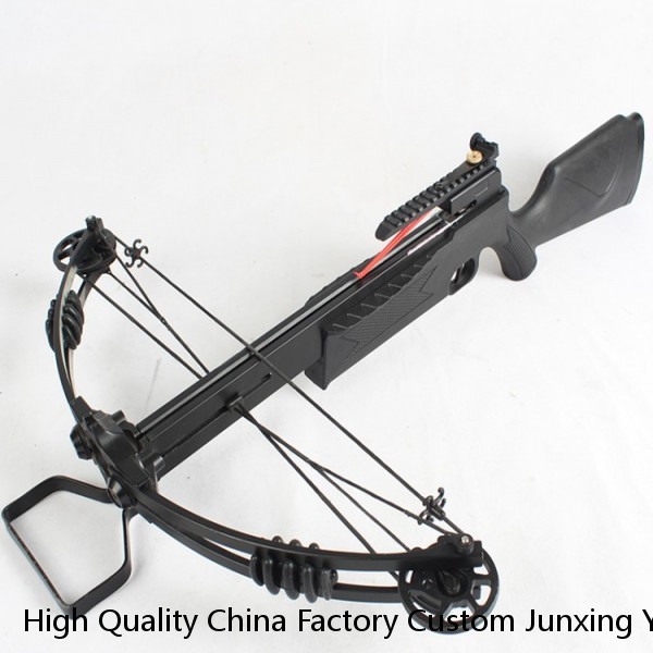 High Quality China Factory Custom Junxing Youth Archery Compound Bow Outdoor Hunting Shooting W451 Bow and Arrows Set