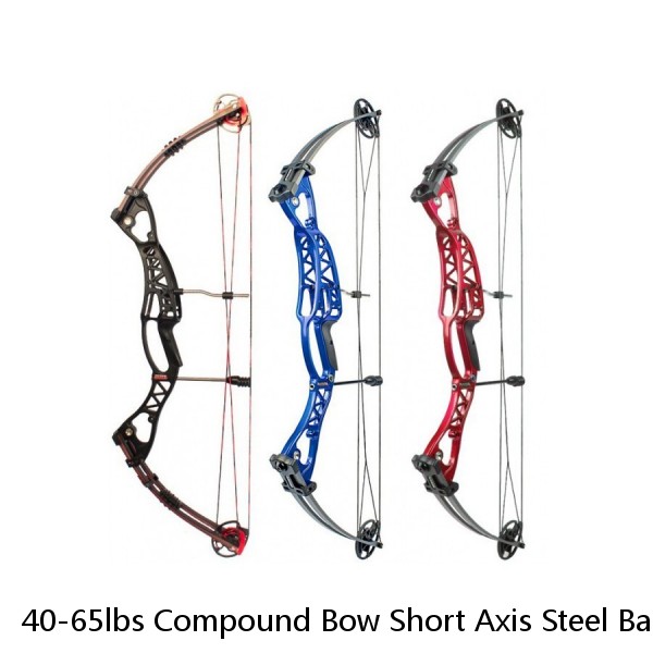 40-65lbs Compound Bow Short Axis Steel Ball Arrows Hunting Fishing Archery M109K