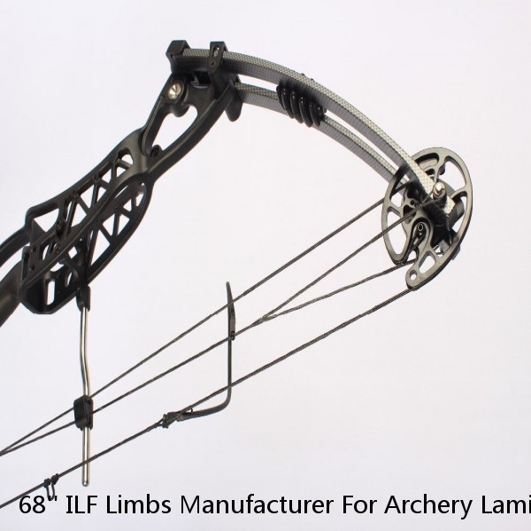 68'' ILF Limbs Manufacturer For Archery Laminated Maple Wooden Limbs Shooting Recurve Bow Outdoor Sports