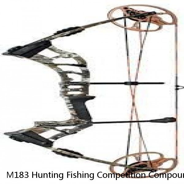 M183 Hunting Fishing Competition Compound Bow for shooting Archery Arrow 30-50lbs Aluminum Riser Laminated Limbs